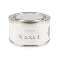 Pintail Candles Sea Salt Paint Pot Candle Extra Image 1 Preview